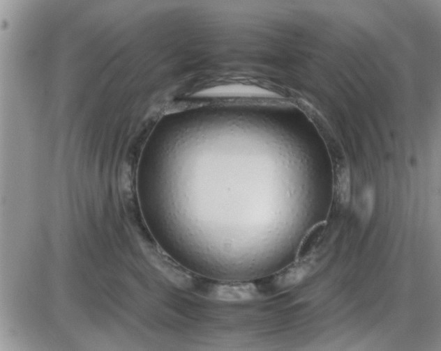 X0000085310571200703231927