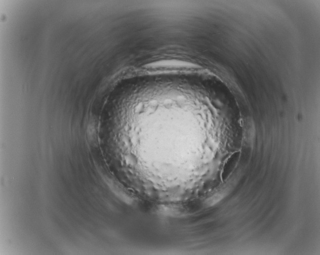 X0000085310573200703231927