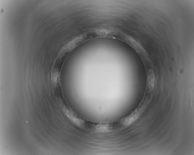 X0000085310574200703231927