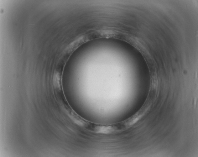 X0000085310575200703231927