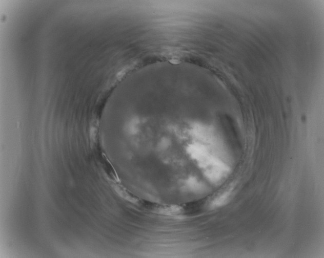 X0000085310576200703231927