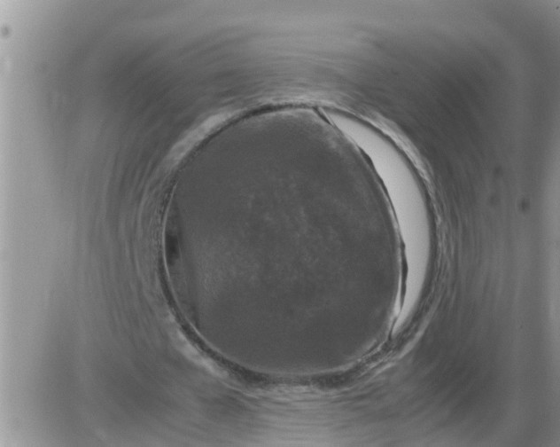 X0000085310577200703231926