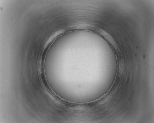 X0000085310578200703231926