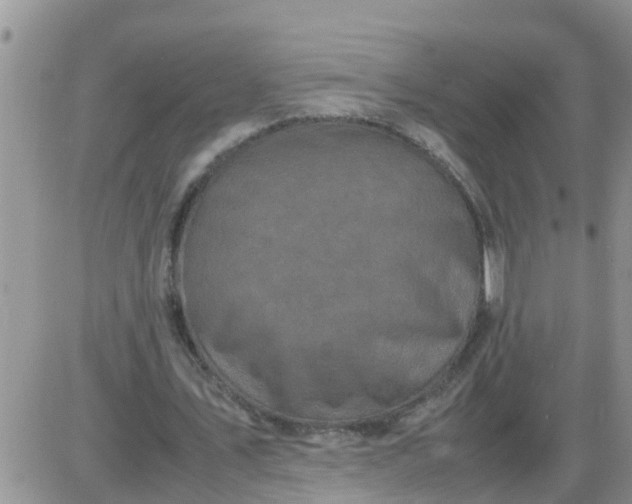 X0000085310579200703231926