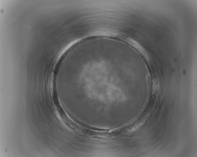 X0000085310580200703231926