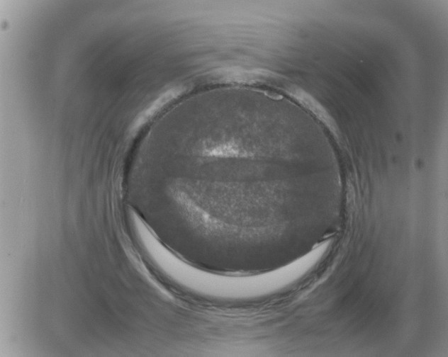 X0000085310581200703231926