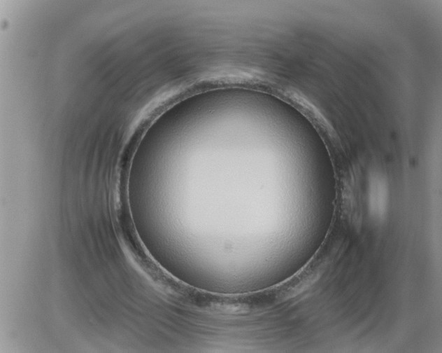 X0000085310582200703231926