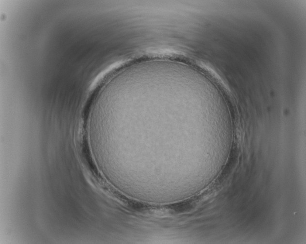 X0000085310583200703231926