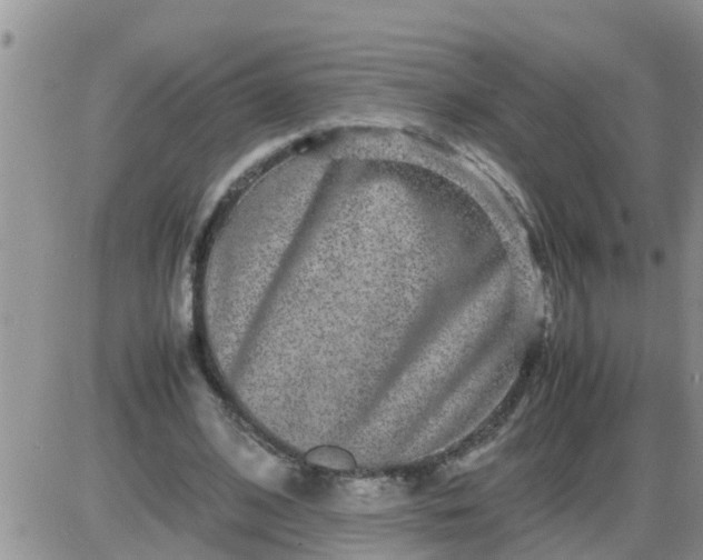 X0000085310584200703231926