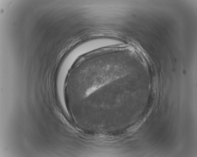 X0000085310585200703231926