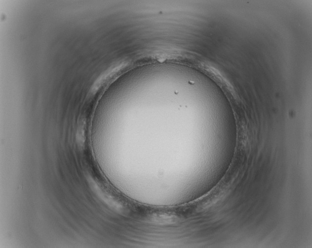 X0000085310586200703231926