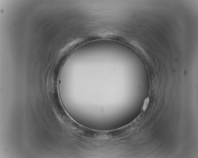 X0000085310587200703231926