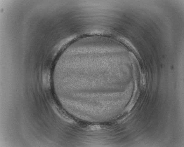 X0000085310588200703231926