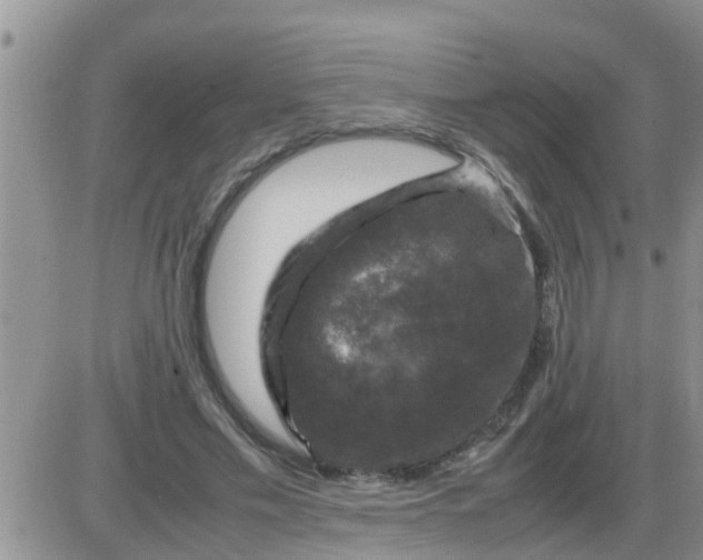 X0000085310589200703231926