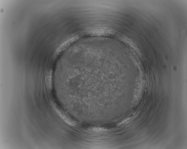 X0000085310590200703231926