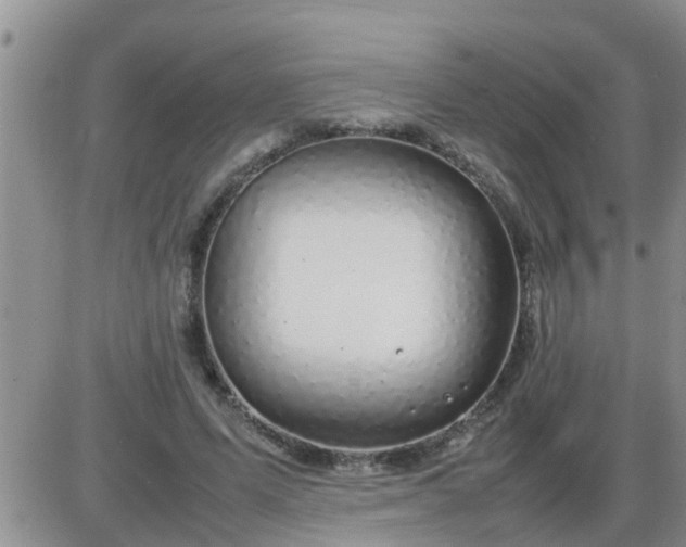 X0000085310591200703231926