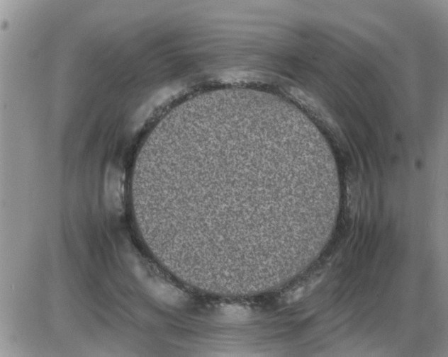 X0000085310592200703231926