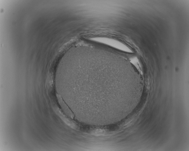 X0000085310593200703231926