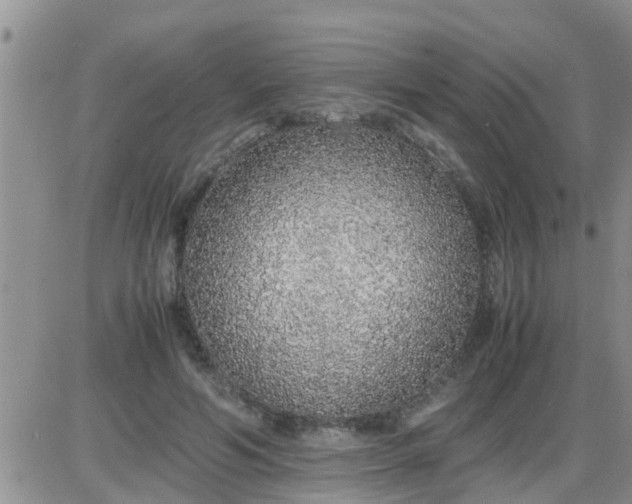 X0000085310594200703231926