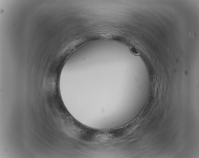 X0000085310595200703231926