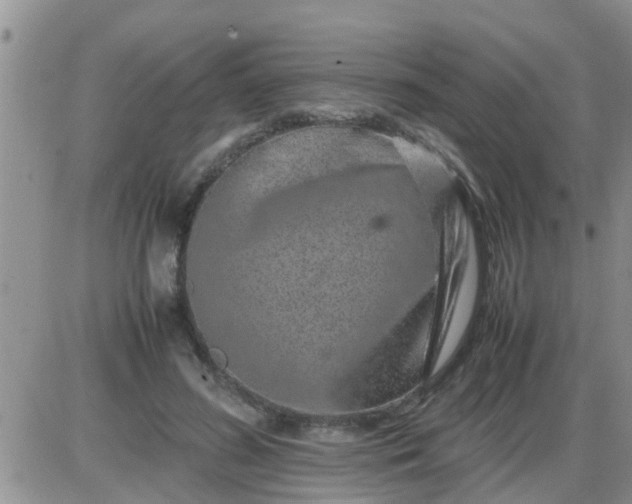 X0000085310596200703231926