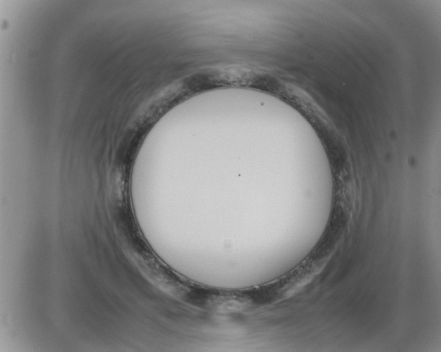 X0000085310597200703231926