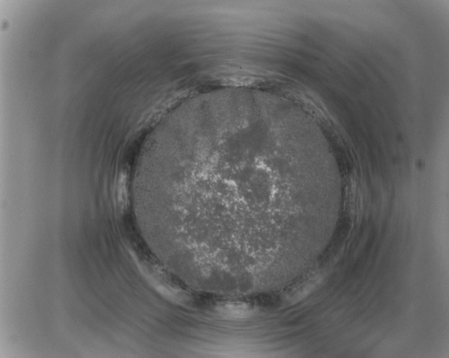 X0000085310598200703231926