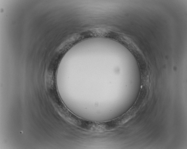 X0000085310599200703231926