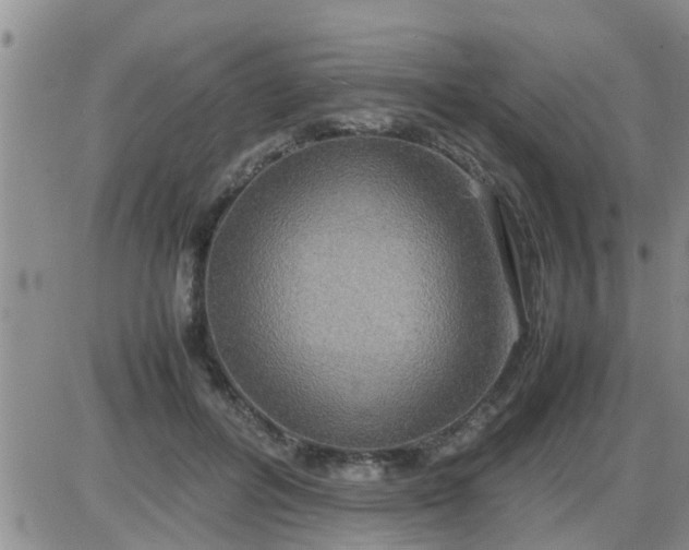 X0000085310600200703231926