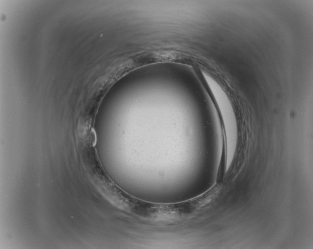 X0000085310601200703231926