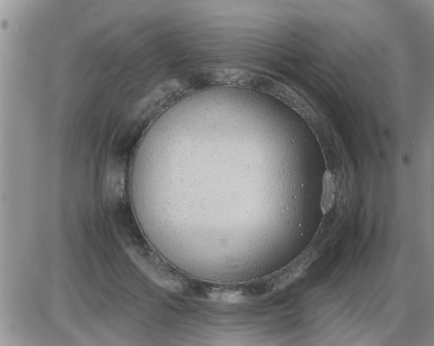 X0000085310602200703231925