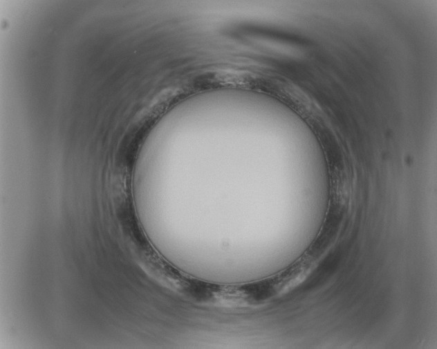 X0000085310603200703231925