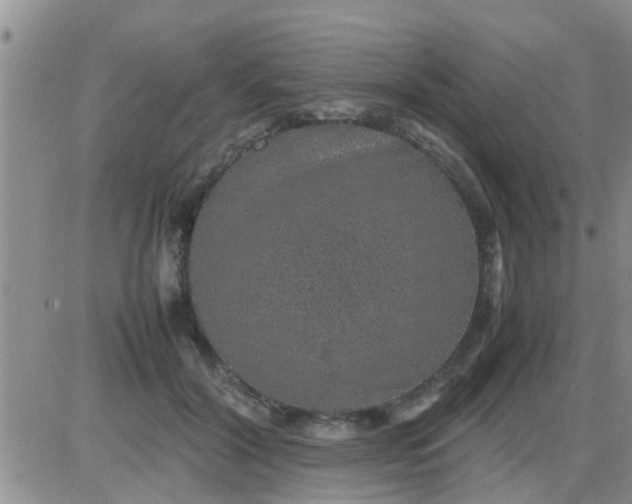 X0000085310604200703231925