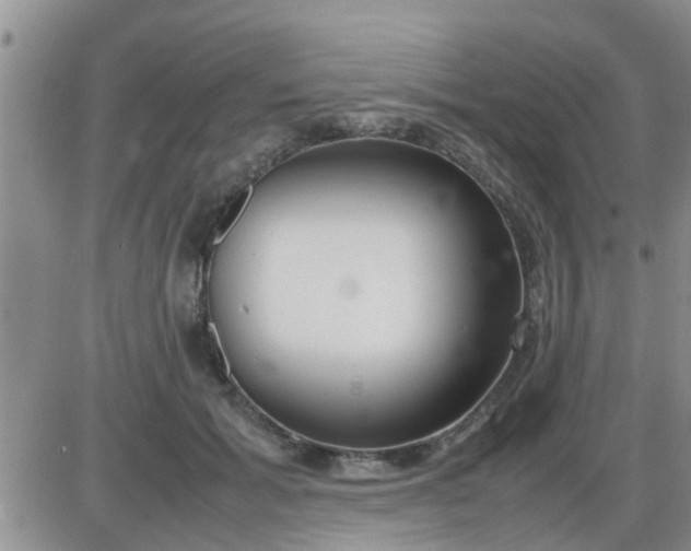 X0000085310605200703231925