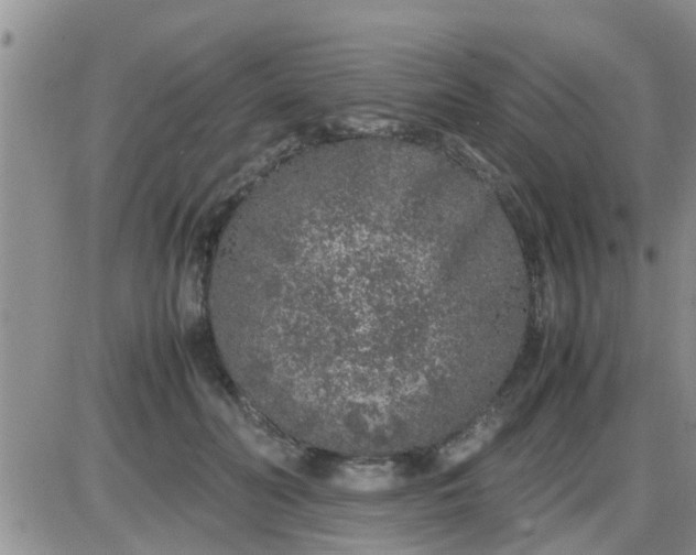 X0000085310606200703231925