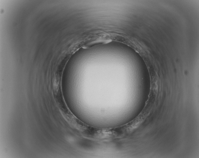 X0000085310607200703231925