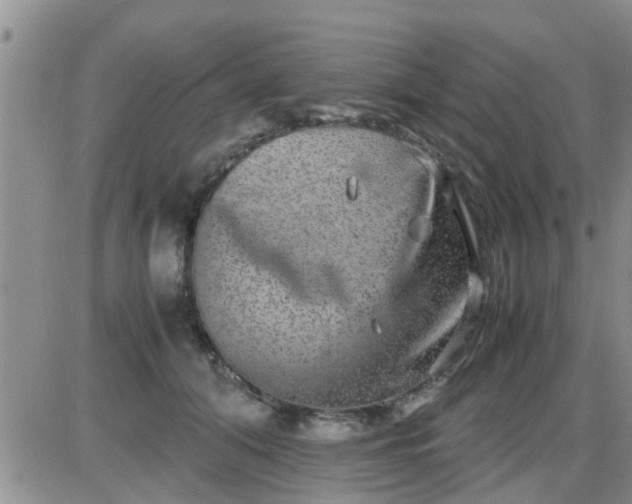 X0000085310608200703231925