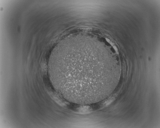 X0000085310609200703231925