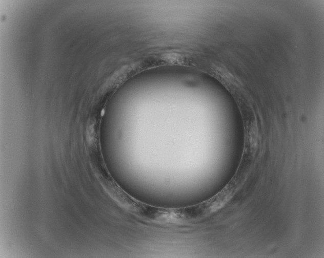 X0000085310611200703231925