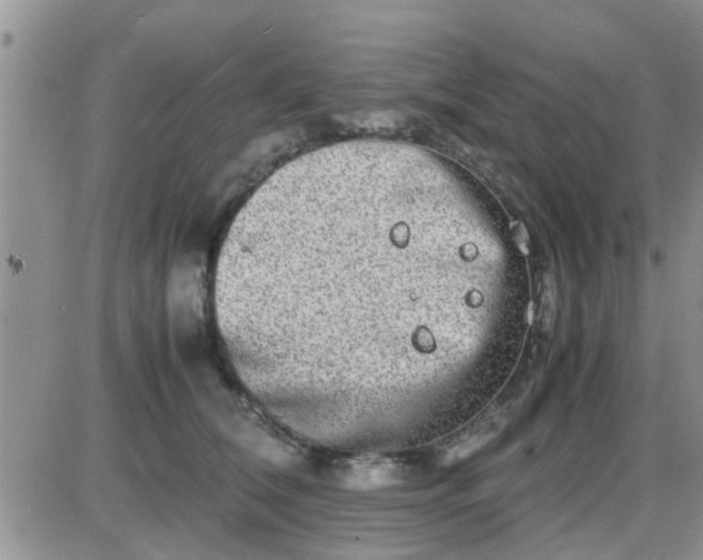 X0000085310612200703231925