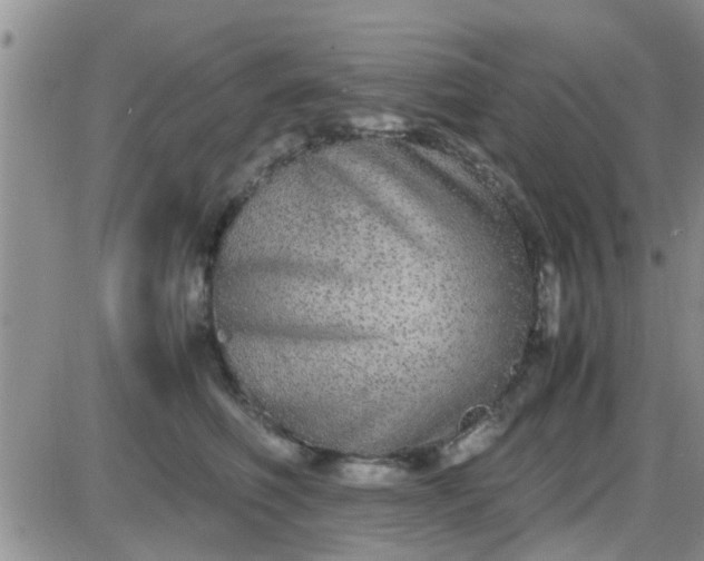 X0000085310614200703231925