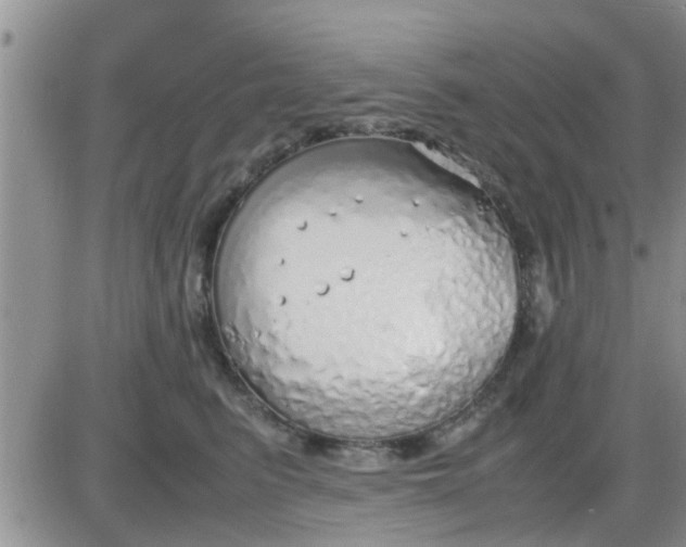 X0000085310615200703231925