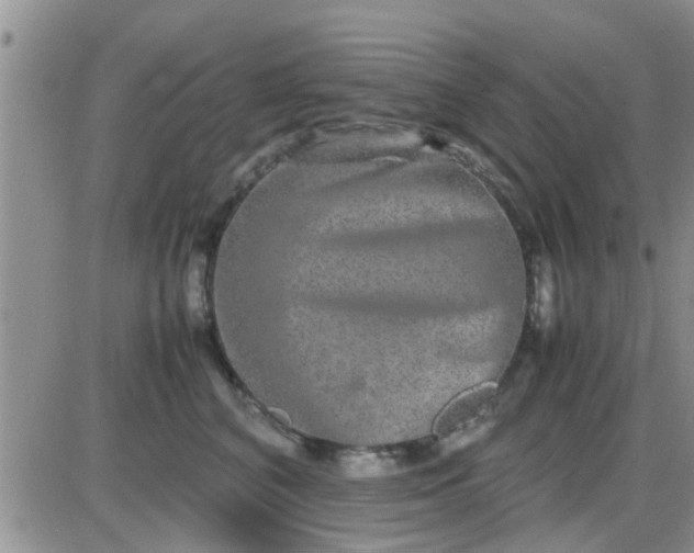 X0000085310616200703231925