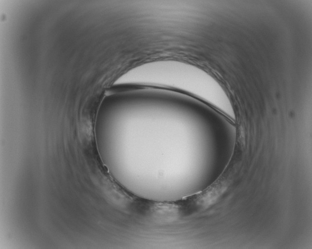 X0000085310617200703231925