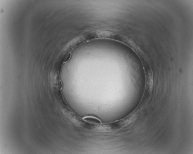 X0000085310619200703231925