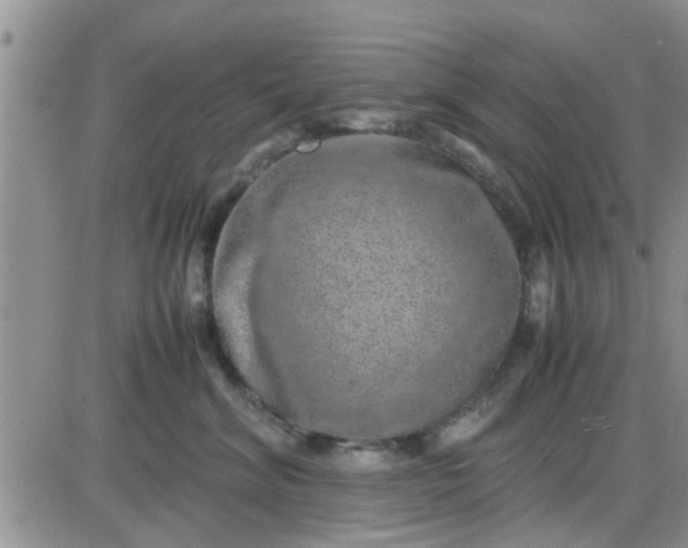 X0000085310620200703231925