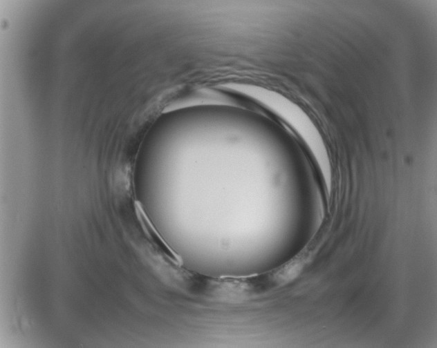 X0000085310621200703231925