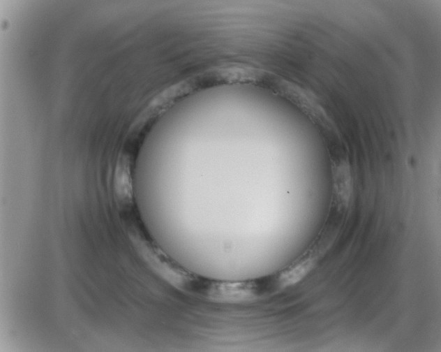 X0000085310622200703231925