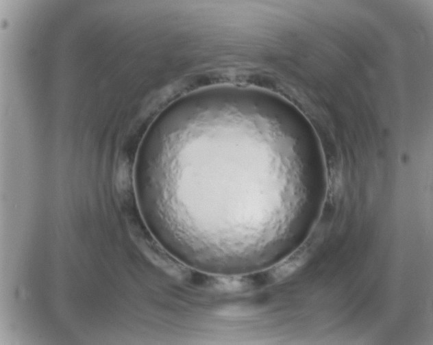 X0000085310623200703231925