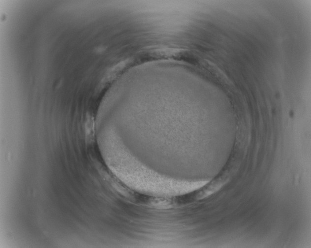 X0000085310624200703231925